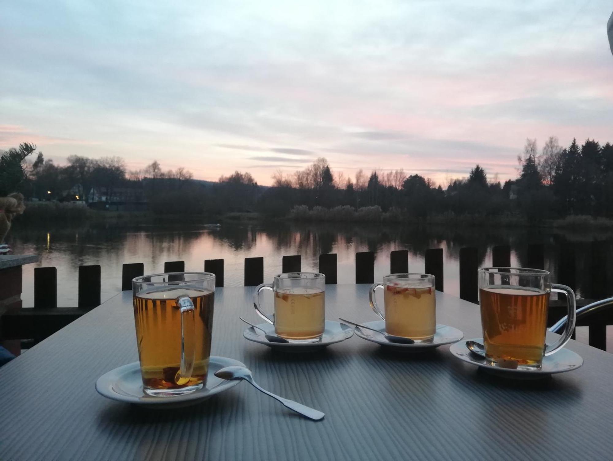 Ferienwohnung - Landhotel Waldschloesschen Sohland an der Spree エクステリア 写真