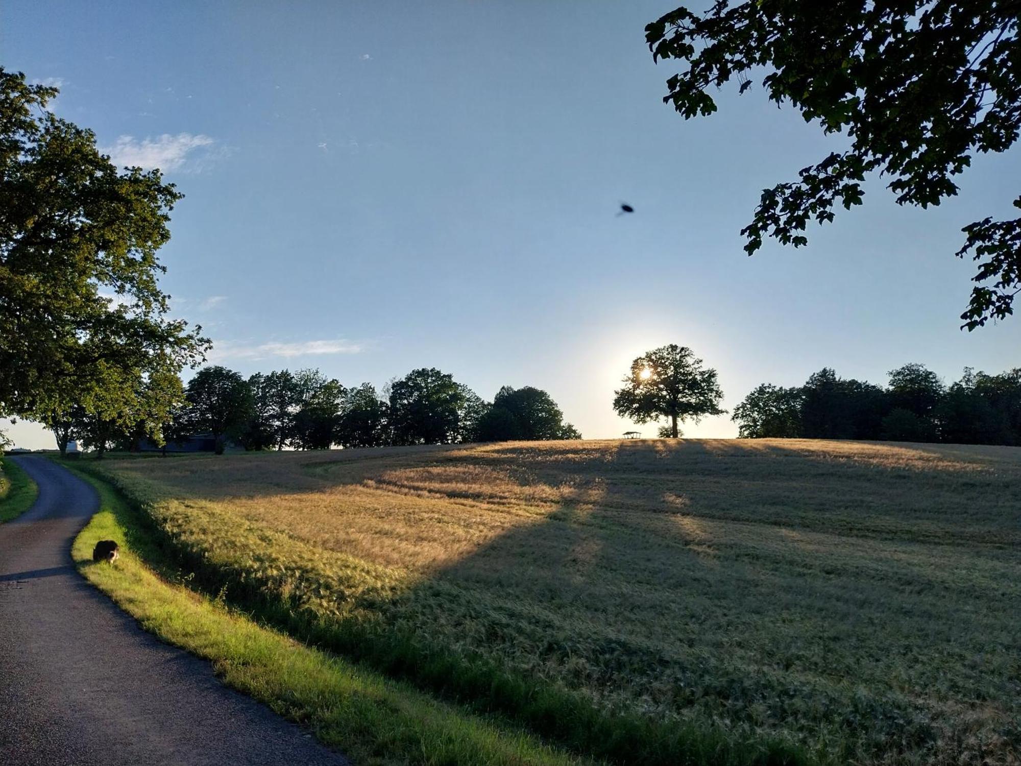 Ferienwohnung - Landhotel Waldschloesschen Sohland an der Spree エクステリア 写真